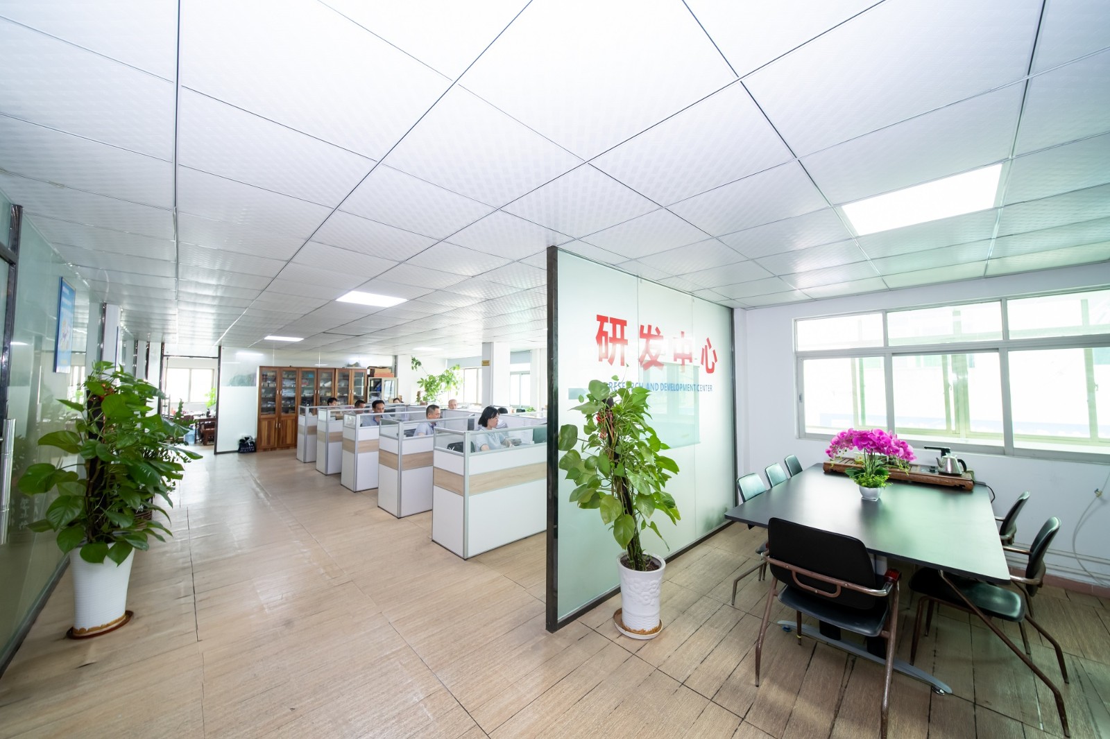 LLH_0359.jpg LLH_0359.jpg